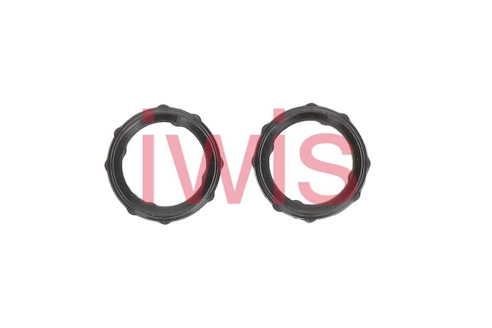 Seal Ring (59328)