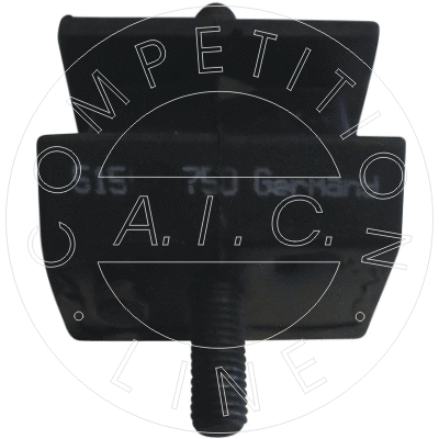Mounting, automatic transmission (51544)