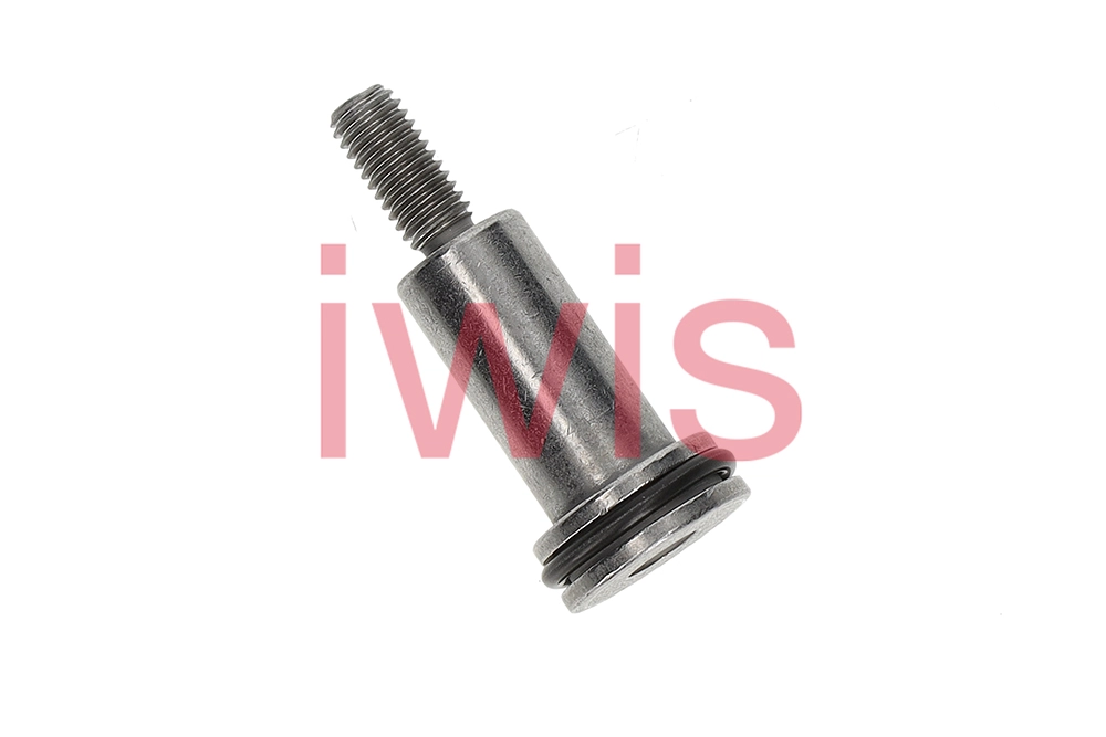 Sliding Rail Bolts, timing chain (60248)