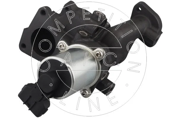 EGR Valve