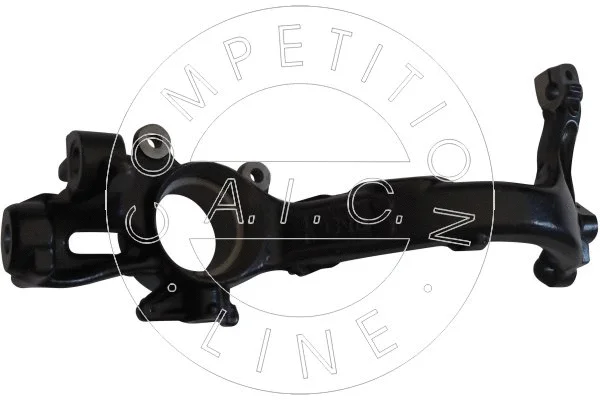 Steering Knuckle, wheel suspension (55700)
