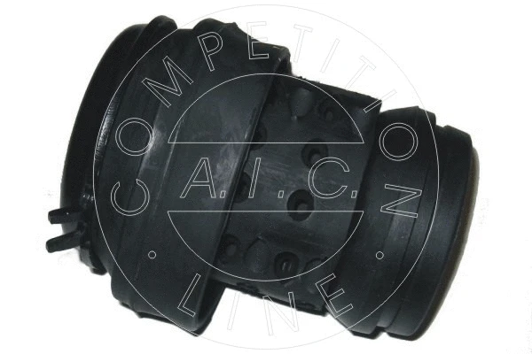 Mounting, engine (50209)