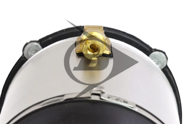 Air Suspension Strut