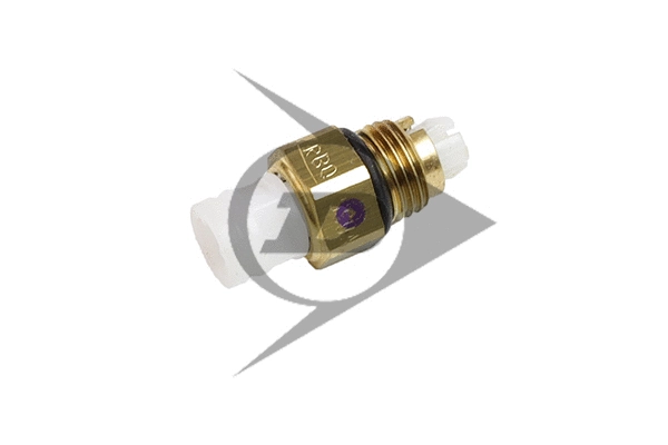 Air Suspension Strut