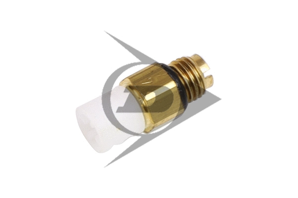 Air Suspension Strut