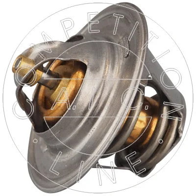 Thermostat, coolant (58256)