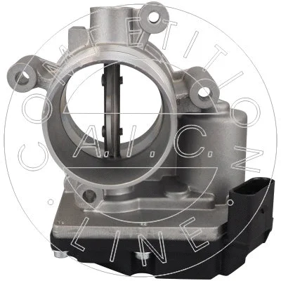 Throttle Body (57988)