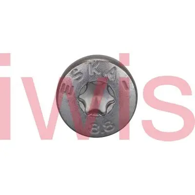 Screw