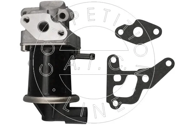 EGR Valve (56625)