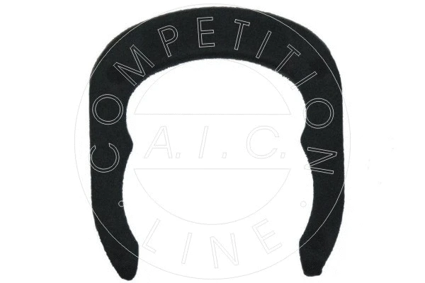 Retaining Spring (52099)