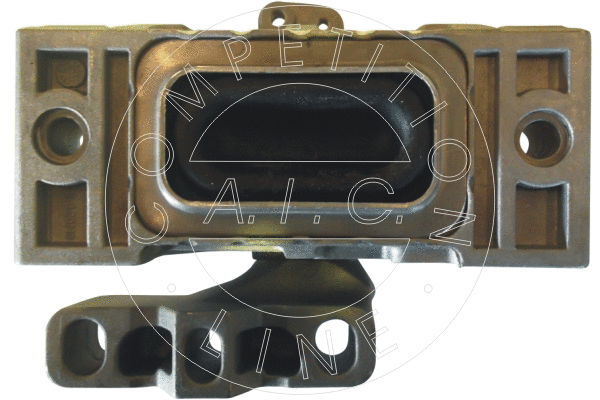 Mounting, engine (50219)