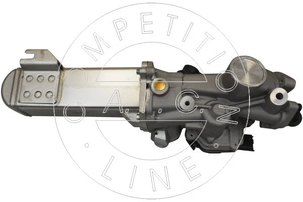 EGR Module