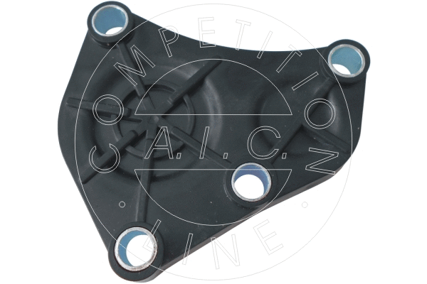 Locking Cover, camshaft (56066)