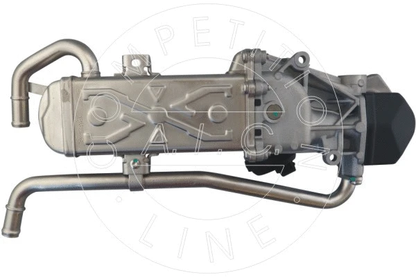 EGR Module