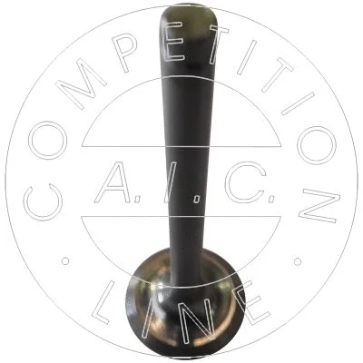 Exhaust Valve (51200)