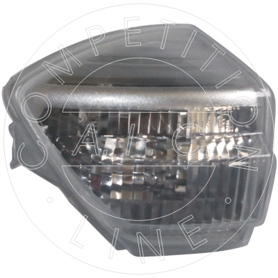 Direction Indicator (55458)