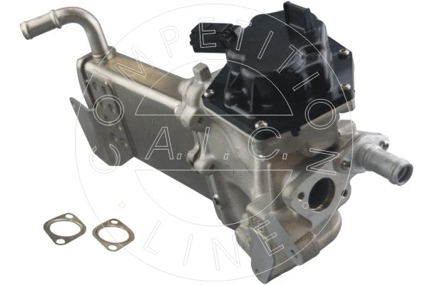 EGR Module