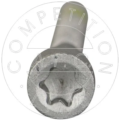Screw, injection nozzle holder