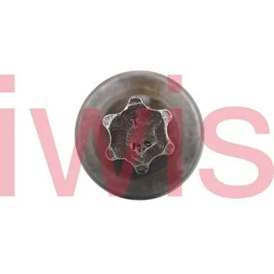 Screw