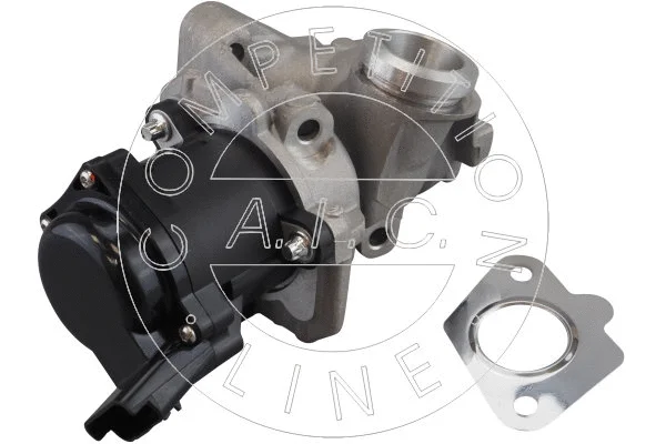 EGR Valve