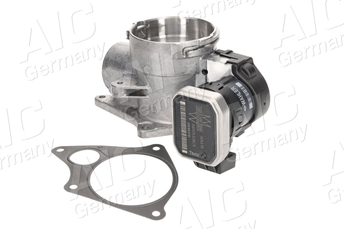 EGR Valve (73829)