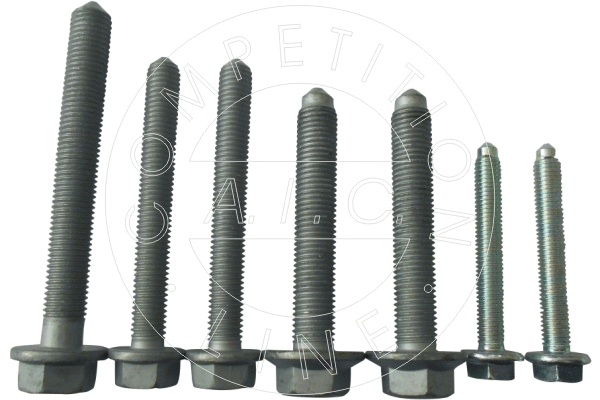 Mounting and Bolting Kit, control/trailing arm (56376)
