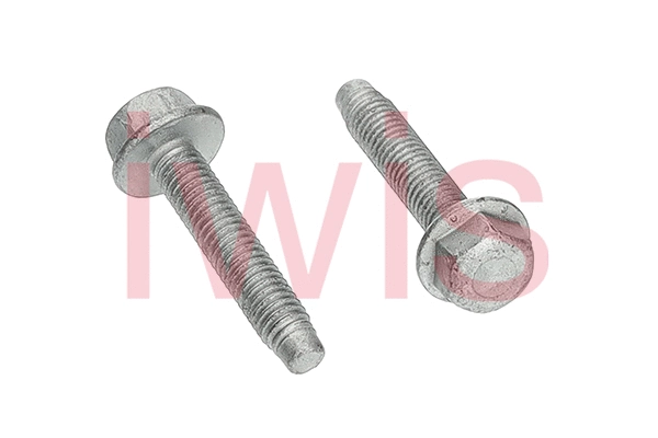 Screw (59501)