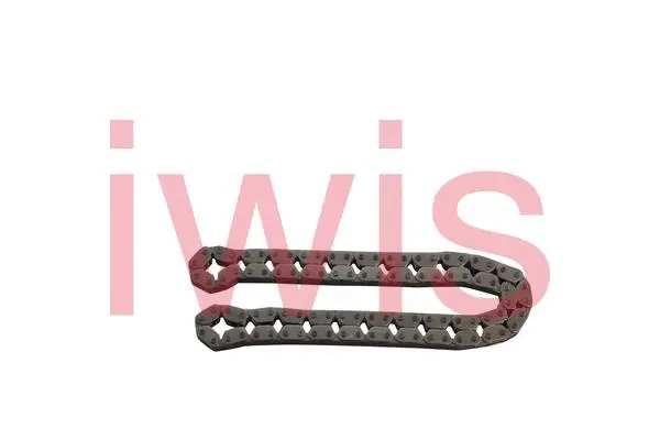 Timing Chain (59401)