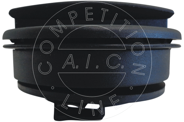 Sealing Cap, oil filler neck