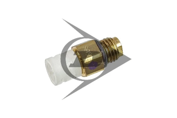 Air Suspension Strut
