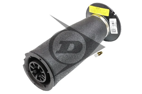 Air Spring, suspension (71100)