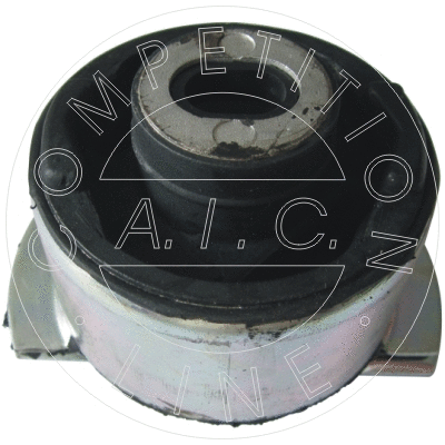 Bushing, axle beam (53255)