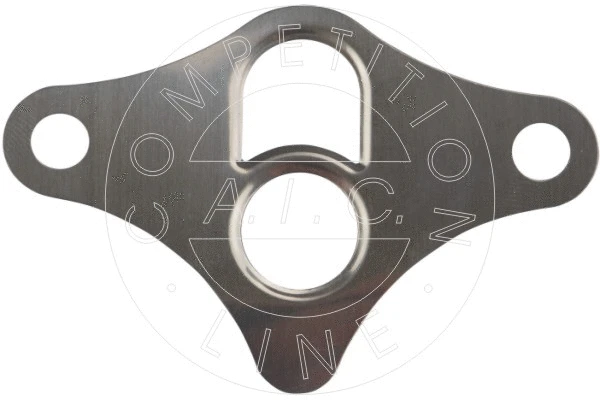 Gasket, EGR valve (53116)