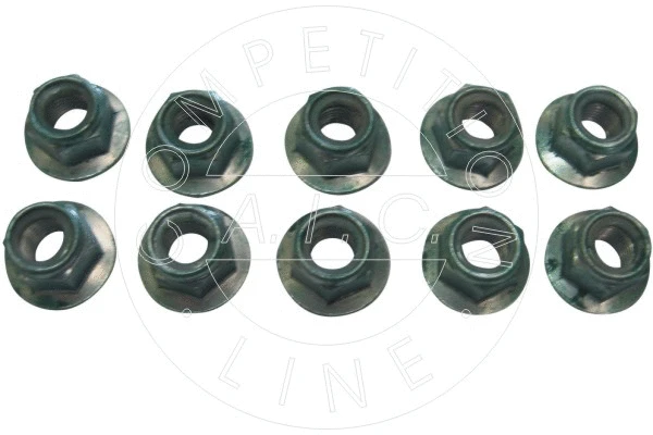 Nut (51123)