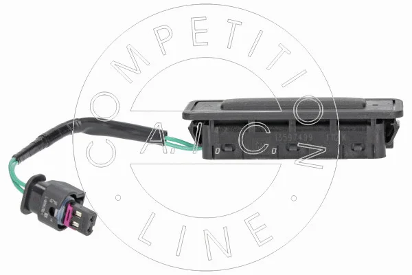 Tailgate Handle