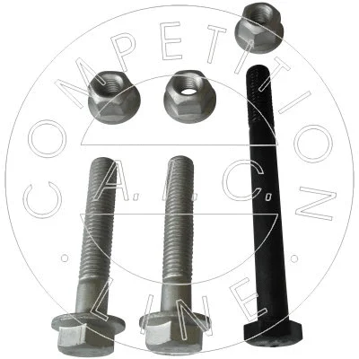 Mounting and Bolting Kit, control/trailing arm (54068)