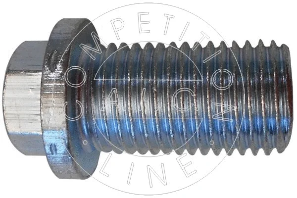 Screw Plug, oil sump (51937)