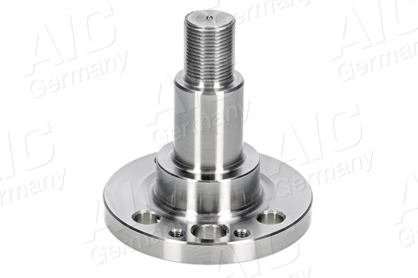Kingpin, axle beam (71467)