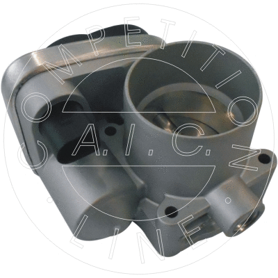 Throttle Body (56153)