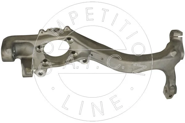 Steering Knuckle, wheel suspension (57013)