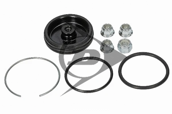 Air Suspension Strut