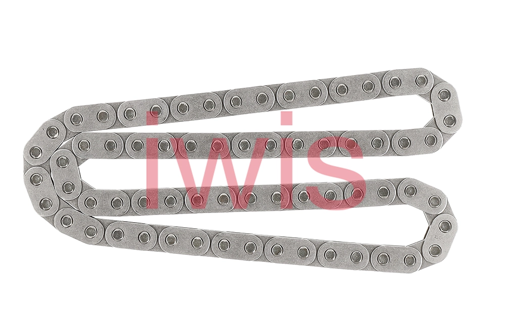 Timing Chain (59171)