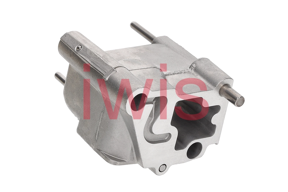 Tensioner, timing chain