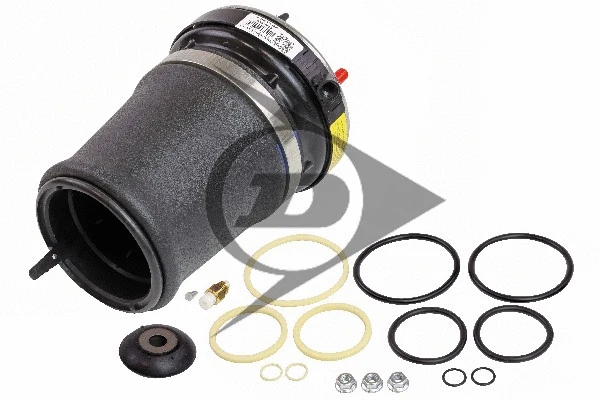 Air Spring, suspension (71094)