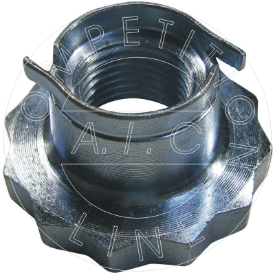 Nut (52873)