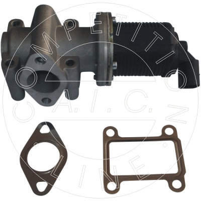 EGR Valve (55760)