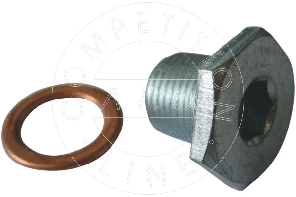 Screw Plug, oil sump (52880)