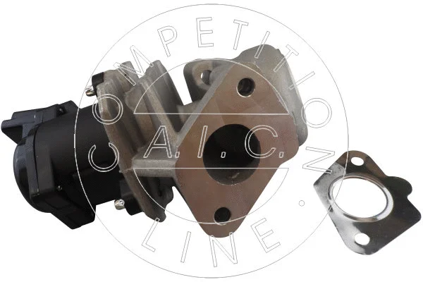 EGR Valve