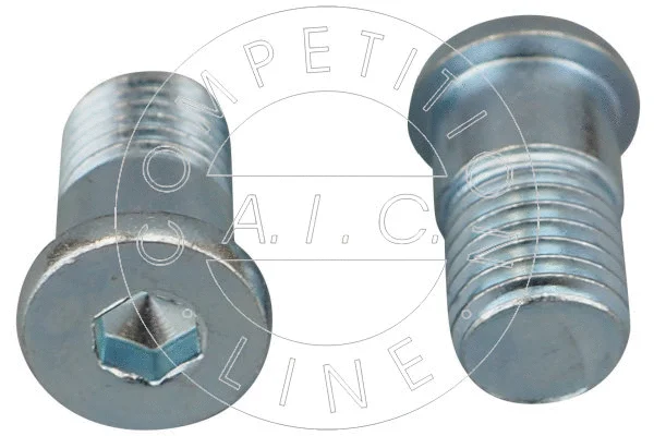 Bolt, brake disc