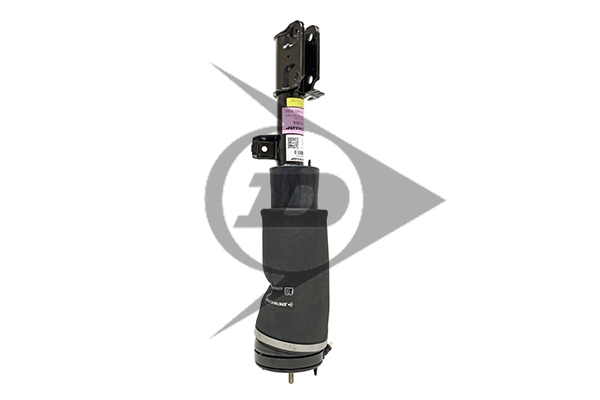 Air Suspension Strut